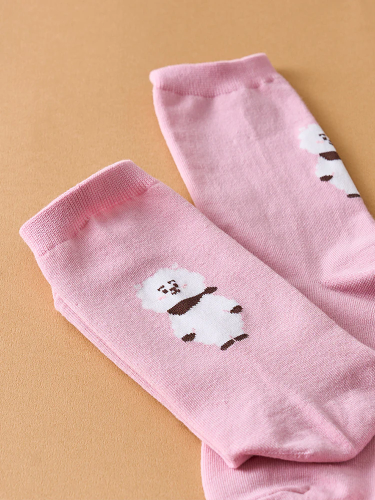 BT21 Basic Daily Jacquard Socks - Image 7